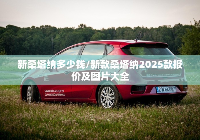新桑塔纳多少钱/新款桑塔纳2025款报价及图片大全