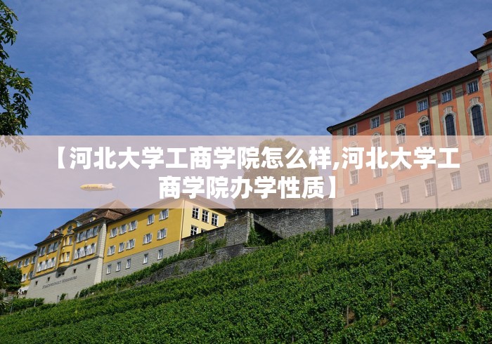 【河北大学工商学院怎么样,河北大学工商学院办学性质】