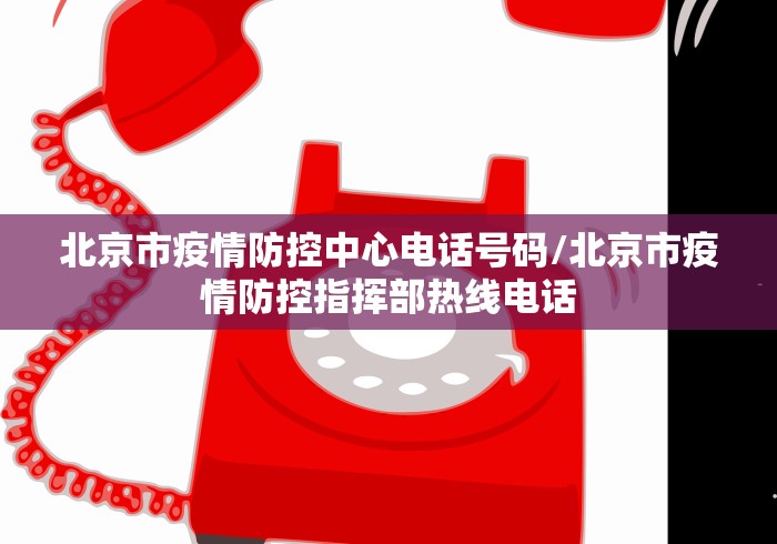 北京市疫情防控中心电话号码/北京市疫情防控指挥部热线电话