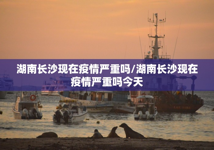 湖南长沙现在疫情严重吗/湖南长沙现在疫情严重吗今天