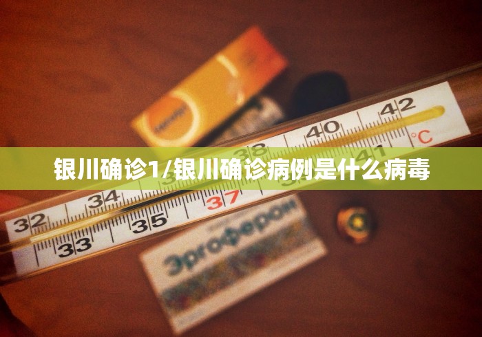 银川确诊1/银川确诊病例是什么病毒