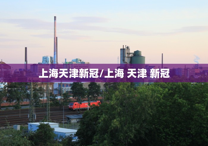 上海天津新冠/上海 天津 新冠