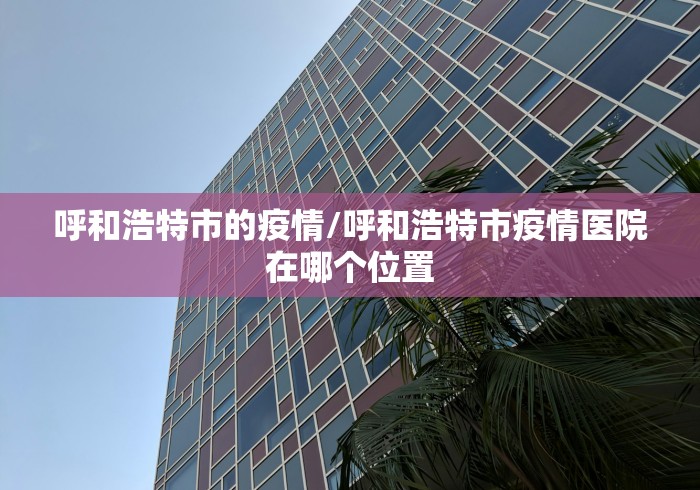 呼和浩特市的疫情/呼和浩特市疫情医院在哪个位置