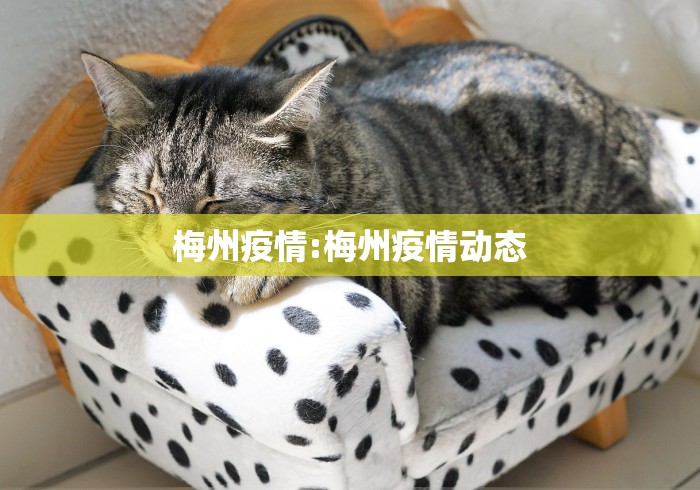 梅州疫情:梅州疫情动态