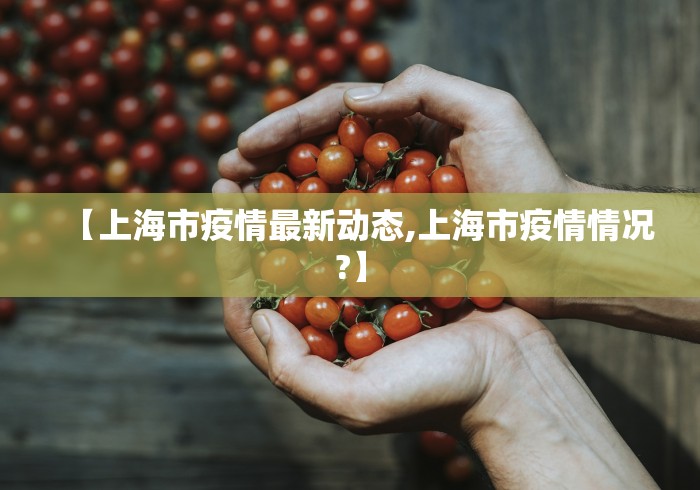 【上海市疫情最新动态,上海市疫情情况?】