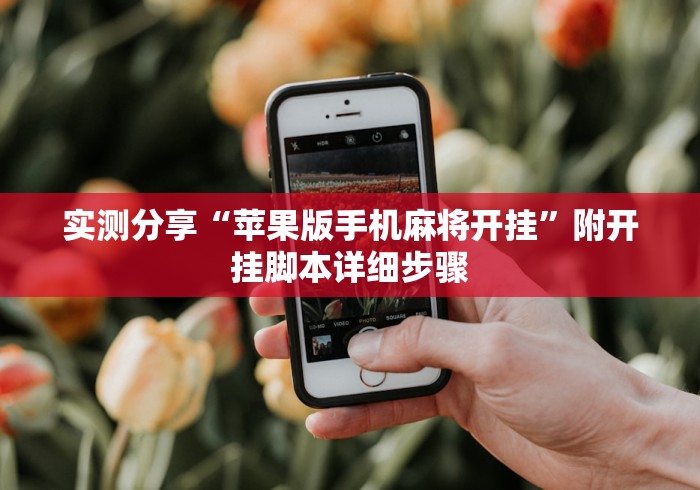 实测分享“苹果版手机麻将开挂”附开挂脚本详细步骤