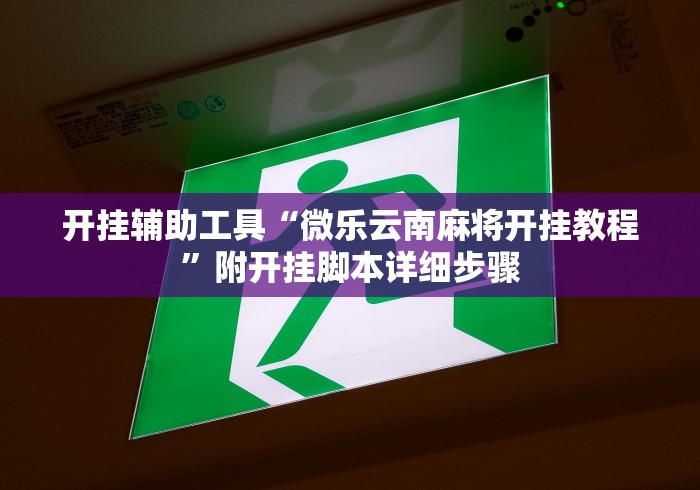 开挂辅助工具“微乐云南麻将开挂教程”附开挂脚本详细步骤