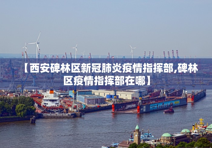 【西安碑林区新冠肺炎疫情指挥部,碑林区疫情指挥部在哪】