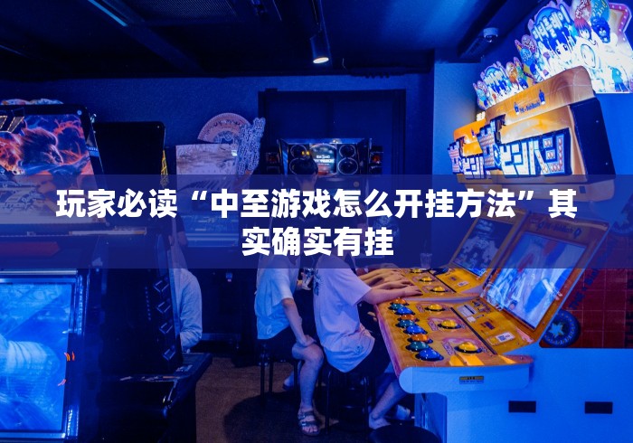 玩家必读“中至游戏怎么开挂方法”其实确实有挂