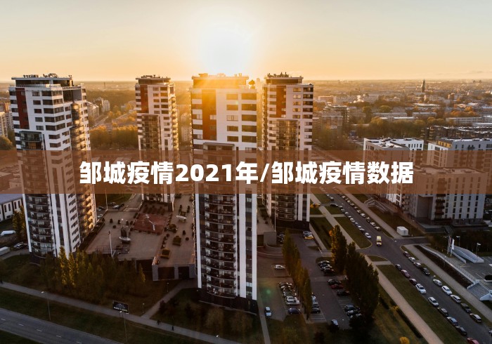 邹城疫情2021年/邹城疫情数据