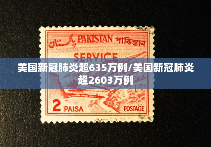 美国新冠肺炎超635万例/美国新冠肺炎超2603万例