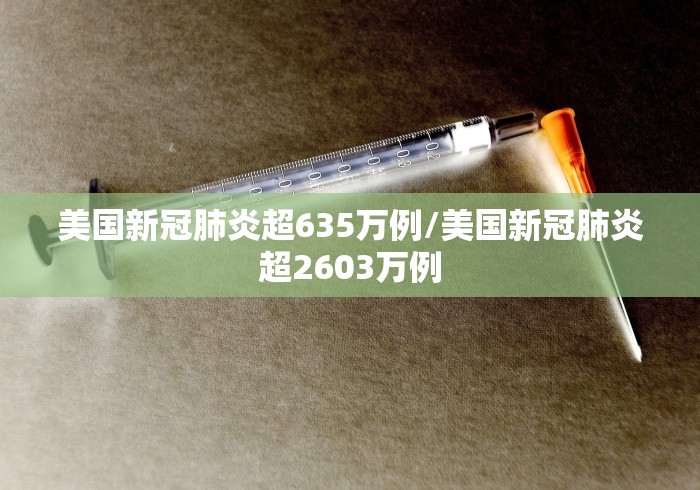 美国新冠肺炎超635万例/美国新冠肺炎超2603万例