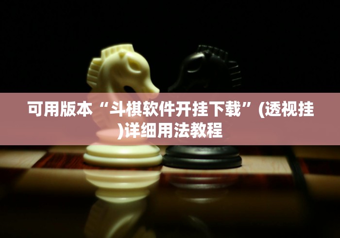 可用版本“斗棋软件开挂下载”(透视挂)详细用法教程