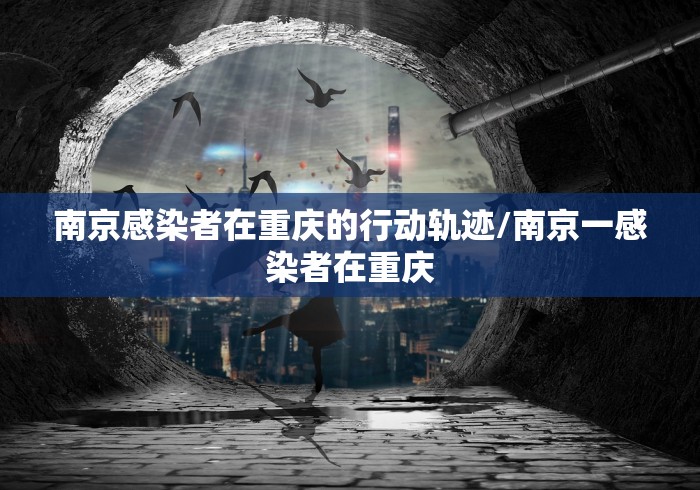 南京感染者在重庆的行动轨迹/南京一感染者在重庆