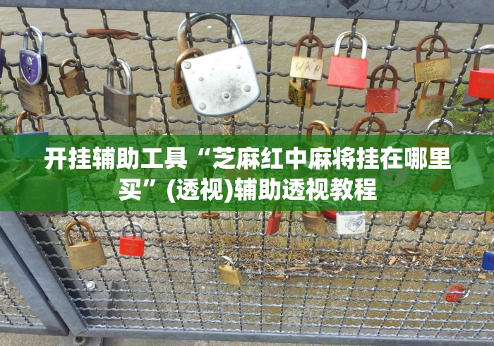 开挂辅助工具“芝麻红中麻将挂在哪里买”(透视)辅助透视教程