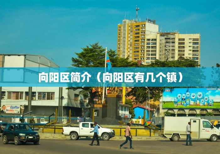 向阳区简介（向阳区有几个镇）