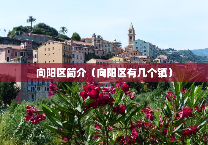 向阳区简介（向阳区有几个镇）