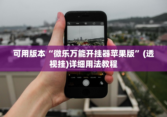可用版本“微乐万能开挂器苹果版”(透视挂)详细用法教程