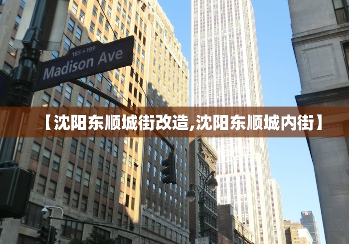 【沈阳东顺城街改造,沈阳东顺城内街】