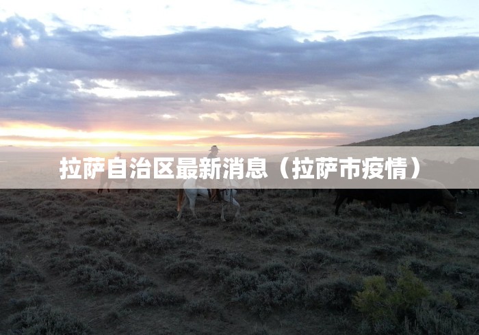 拉萨自治区最新消息（拉萨市疫情）