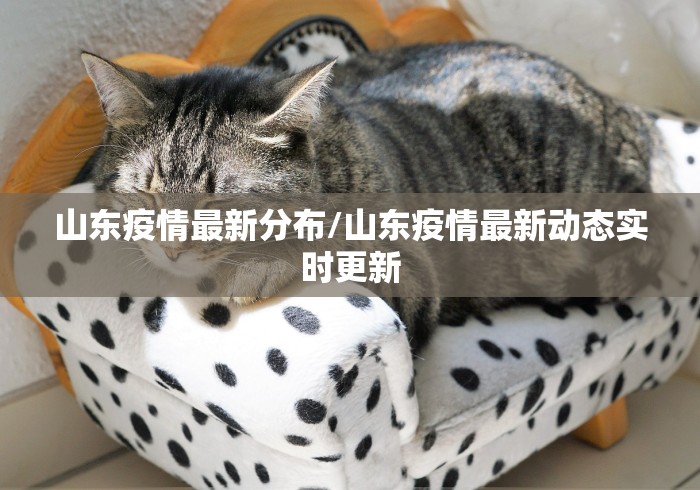 山东疫情最新分布/山东疫情最新动态实时更新