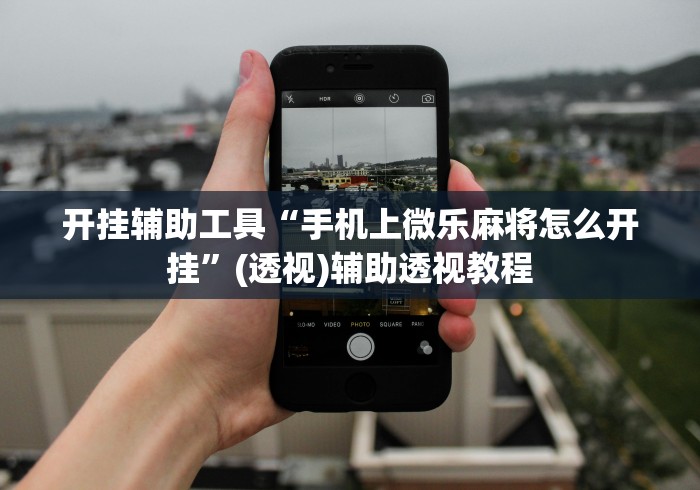 开挂辅助工具“手机上微乐麻将怎么开挂”(透视)辅助透视教程