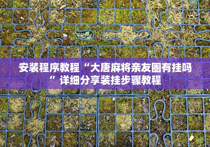 安装程序教程“大唐麻将亲友圈有挂吗”详细分享装挂步骤教程