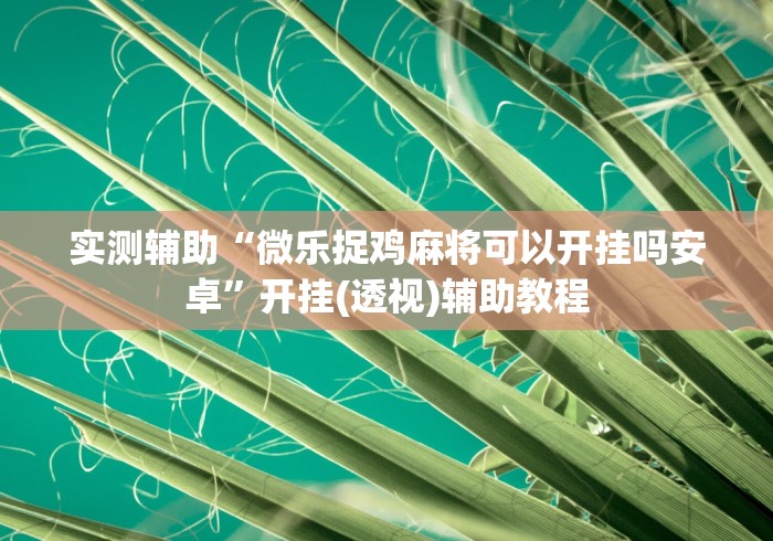 实测辅助“微乐捉鸡麻将可以开挂吗安卓”开挂(透视)辅助教程