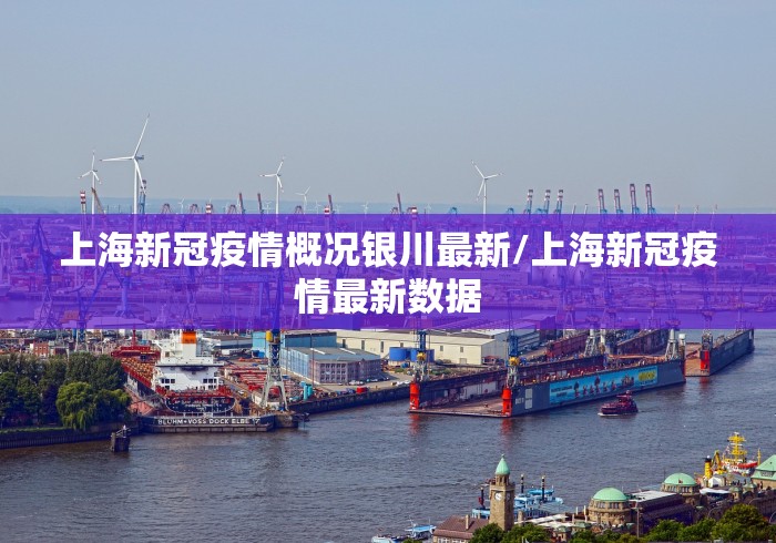 上海新冠疫情概况银川最新/上海新冠疫情最新数据