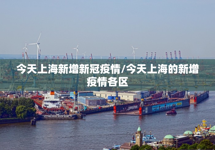 今天上海新增新冠疫情/今天上海的新增疫情各区