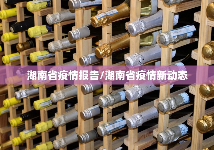 湖南省疫情报告/湖南省疫情新动态