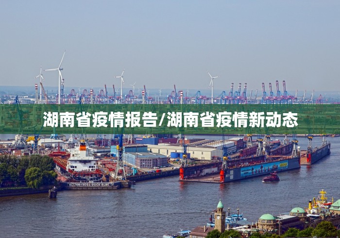 湖南省疫情报告/湖南省疫情新动态