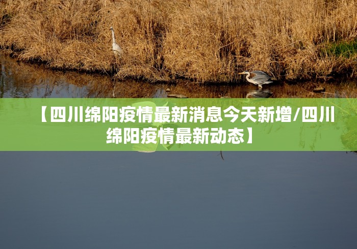 【四川绵阳疫情最新消息今天新增/四川绵阳疫情最新动态】