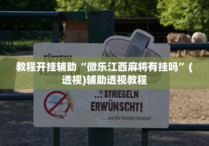 教程开挂辅助“微乐江西麻将有挂吗”(透视)辅助透视教程