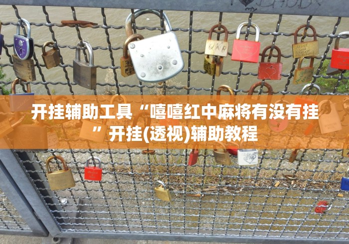 开挂辅助工具“嘻嘻红中麻将有没有挂”开挂(透视)辅助教程