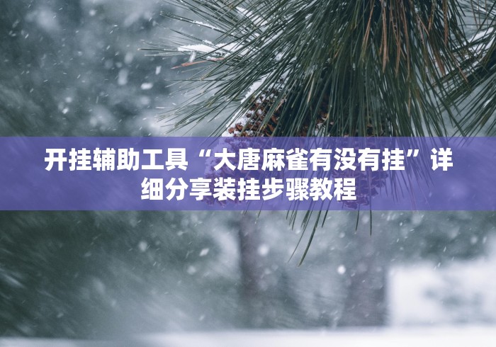 开挂辅助工具“大唐麻雀有没有挂”详细分享装挂步骤教程