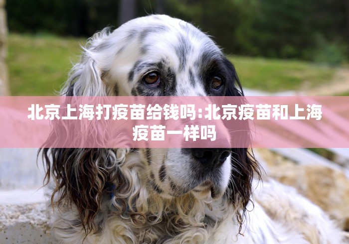 北京上海打疫苗给钱吗:北京疫苗和上海疫苗一样吗