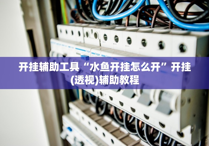 开挂辅助工具“水鱼开挂怎么开”开挂(透视)辅助教程