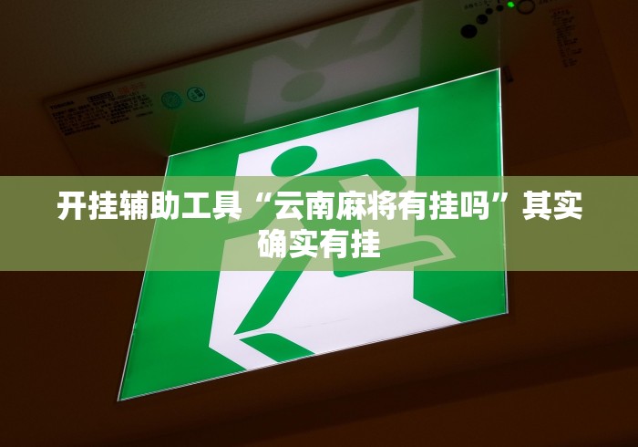 开挂辅助工具“云南麻将有挂吗”其实确实有挂