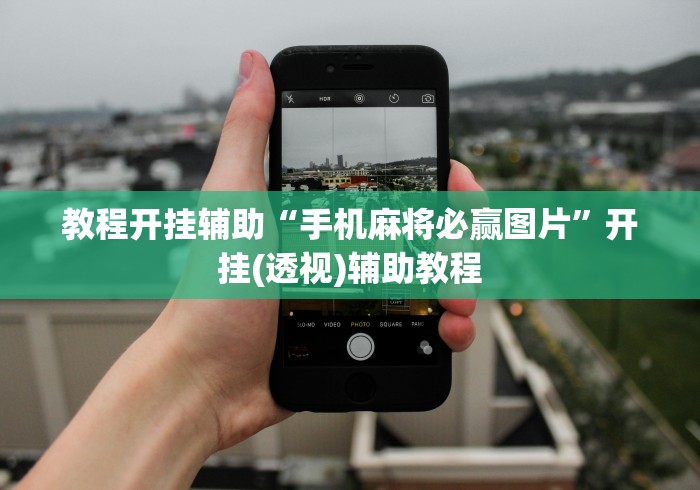 教程开挂辅助“手机麻将必赢图片”开挂(透视)辅助教程