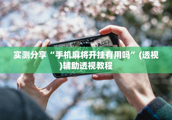 实测分享“手机麻将开挂有用吗”(透视)辅助透视教程
