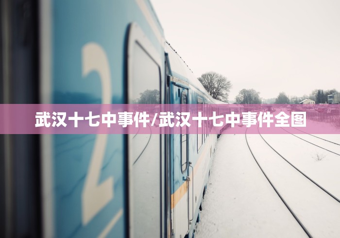 武汉十七中事件/武汉十七中事件全图