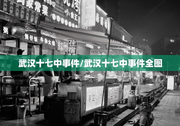武汉十七中事件/武汉十七中事件全图