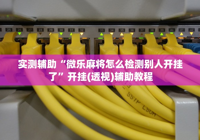 实测辅助“微乐麻将怎么检测别人开挂了”开挂(透视)辅助教程