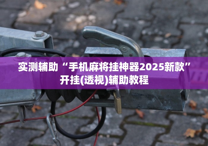 实测辅助“手机麻将挂神器2025新款”开挂(透视)辅助教程