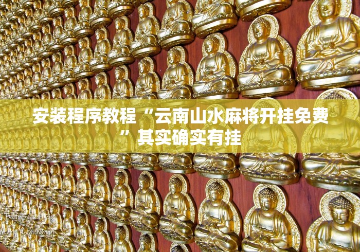 安装程序教程“云南山水麻将开挂免费”其实确实有挂