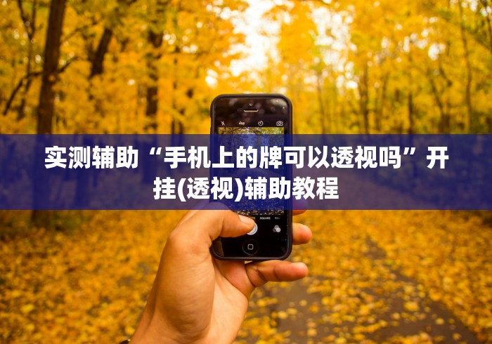 实测辅助“手机上的牌可以透视吗”开挂(透视)辅助教程