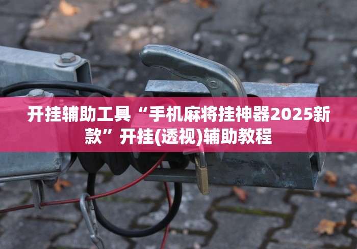 开挂辅助工具“手机麻将挂神器2025新款”开挂(透视)辅助教程