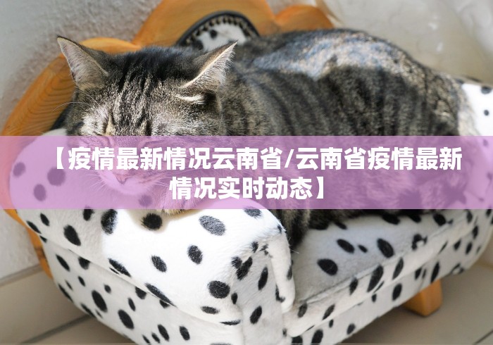 【疫情最新情况云南省/云南省疫情最新情况实时动态】