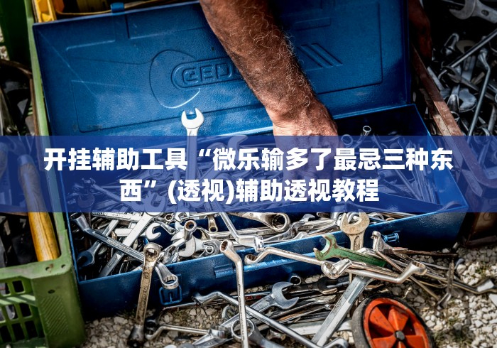 开挂辅助工具“微乐输多了最忌三种东西”(透视)辅助透视教程